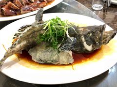 清蒸石斑-蚝专家(北滘店)