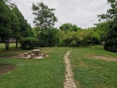 -咸阳湖景区-古渡公园