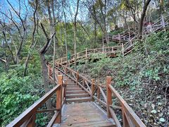 -大岭沟猕猴桃谷风景区