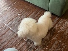 -默迹咖啡馆