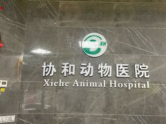 -瑞鹏瑞爱宠物医院·全科·猫科·血液透析中心(龙头寺店)