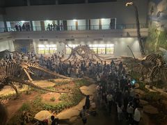 -自贡恐龙博物馆
