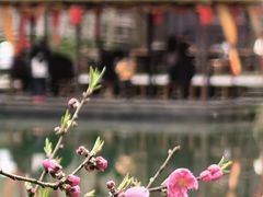 -常德桃花源景区