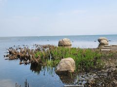 -洱海月湿地公园