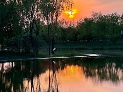 -东郊湿地公园