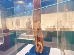 -南京中医药大学(仙林校区)