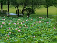 -宜兴龙背山森林公园