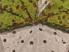 -长风源·寻衢味(20年老店)