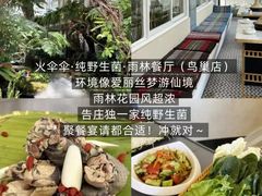 -西双版纳原始森林公园