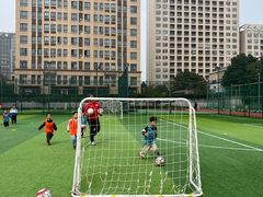 -小赛虎少儿足球培训(南翔校区)