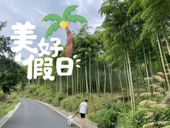 -安吉龙王山峡谷漂流