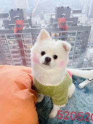 -蒙娜丽莎婚纱摄影(南门店)