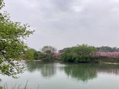 -福建鲤鱼洲酒店