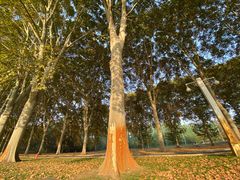 -河南省黄河迎宾馆