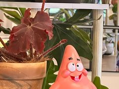 -阿九笨鸡蛋手擀面(总店)