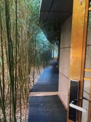 -北京英煌医疗美容