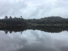 -海南热带雨林国家公园吊罗山景区