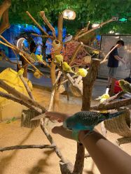 -酷嗒动物文化乐园(cutezoo西溪乐天城店)