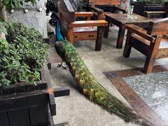 -天赐温泉