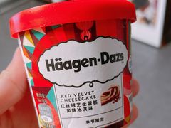 哈根达斯-盒马鲜生(红莲店)