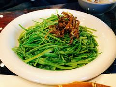 -尽善百年古院餐厅(王家老宅店)
