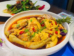 -雀舞云南菜(乐客城店)