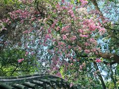 -深圳国际园林花卉博览园