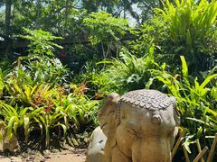 -中国科学院西双版纳热带植物园