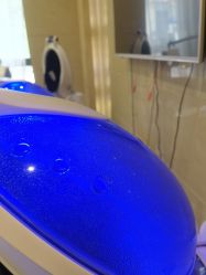 -碧莲盛·不剃发植发