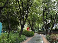 -柳侯公园