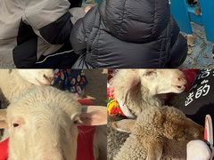 -吉姆冒险世界(蓟州店)