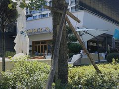 -翠贝卡&Mama Kelly Brunch Coffee(河西店)