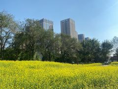 -长白岛森林公园