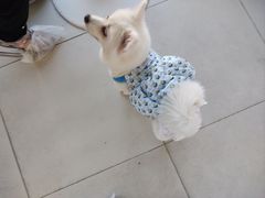 -怪兽屋·羊驼·猫咖·狗咖(俊华广场店)