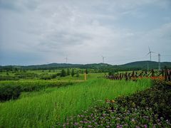 景点-塞罕坝国家级自然保护区