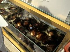 -十八字金银饰·拼豆·开蚌手工体验团建(君太百货店)