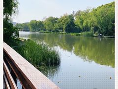 -新江湾城公园