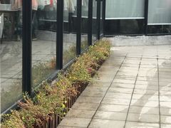 -太麻里文创咖啡馆(创意设计中心店)