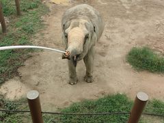 -杭州野生动物世界