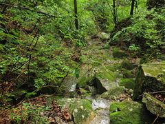 -本溪汤沟绿石谷森林公园