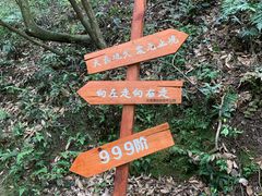 -龙湾潭国家森林公园