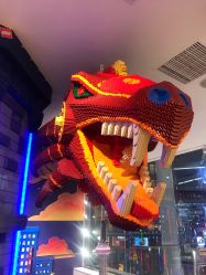 -乐高品牌旗舰店(人民广场店)