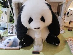 -轩客会(熊猫书店)