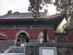 -北京鹫峰国家森林公园