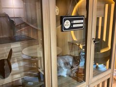 -白兔子密室(长寿路店)