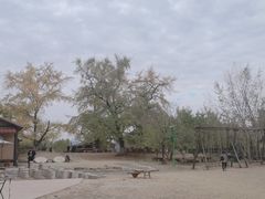 -千年银杏谷文化旅游区