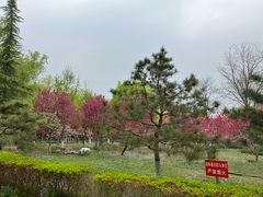 -东升八家郊野公园