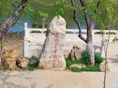 -桃花堤公园