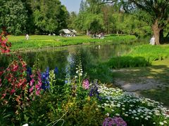 -上海共青森林公园