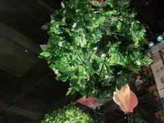 -胡桃里音乐酒馆(东区店)